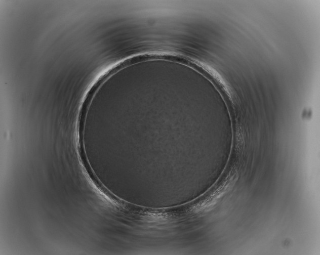 X0000098000935200804071214