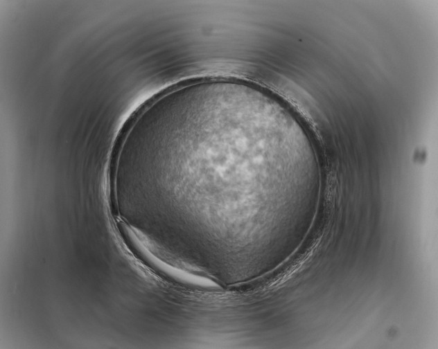 X0000098000936200804071214