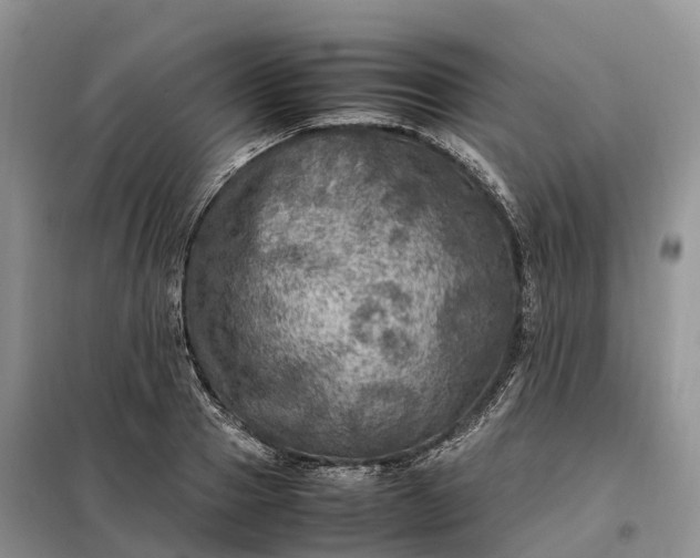 X0000098000937200804071214