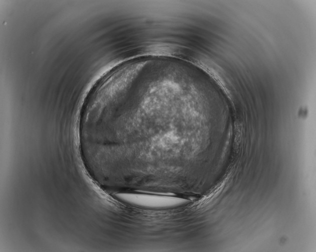 X0000098000939200804071214