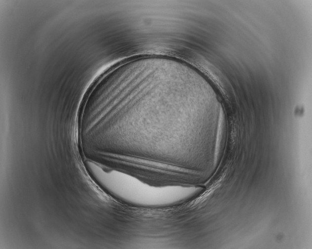 X0000098000940200804071214