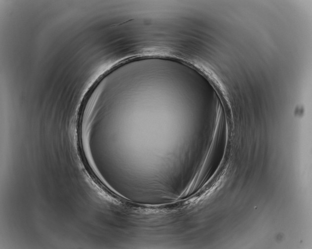 X0000098000941200804071214