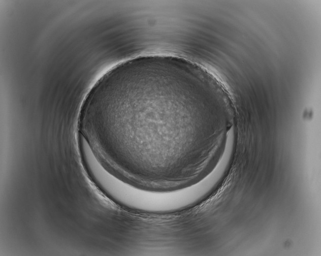 X0000098000942200804071214