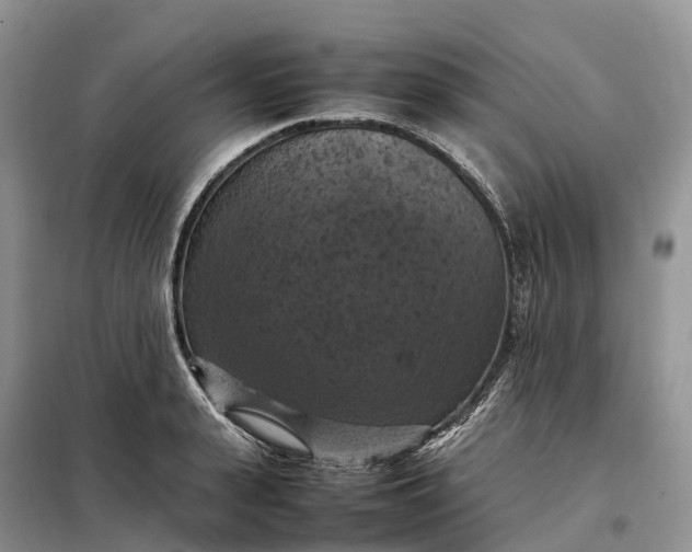 X0000098000943200804071214