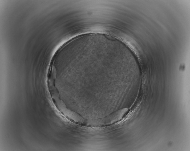 X0000098000944200804071214
