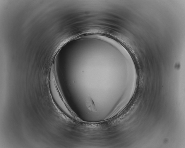X0000098000945200804071214