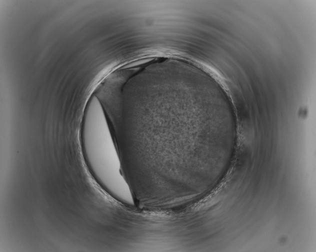 X0000098000946200804071214