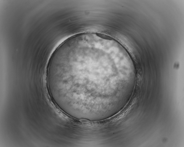 X0000098000948200804071214