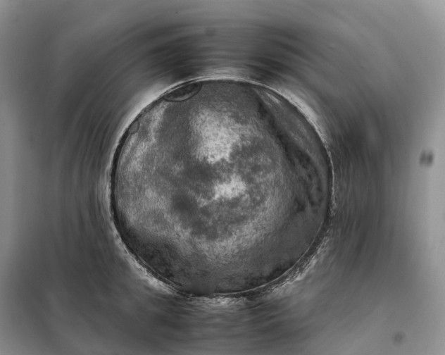 X0000098000949200804071214