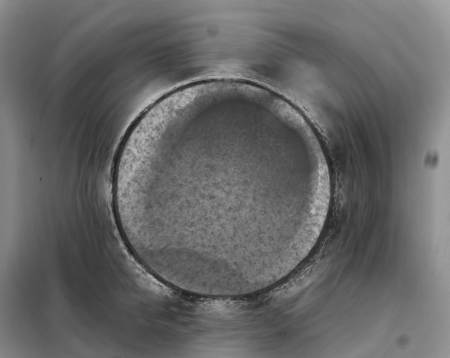X0000098000950200804071214