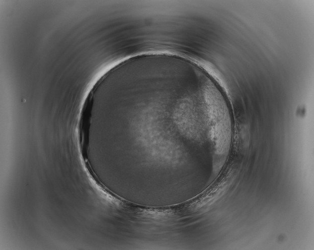 X0000098000951200804071214