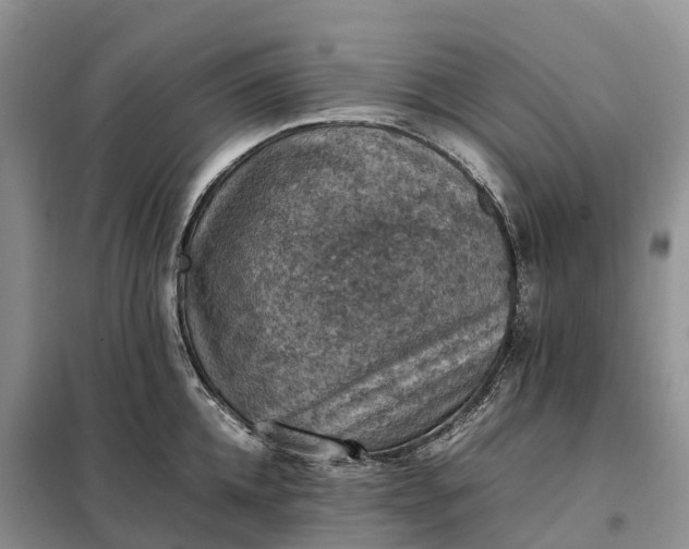 X0000098000952200804071214