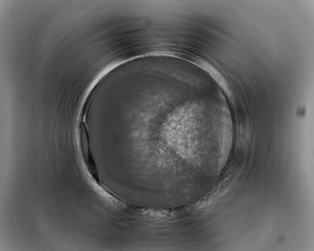 X0000098000955200804071215