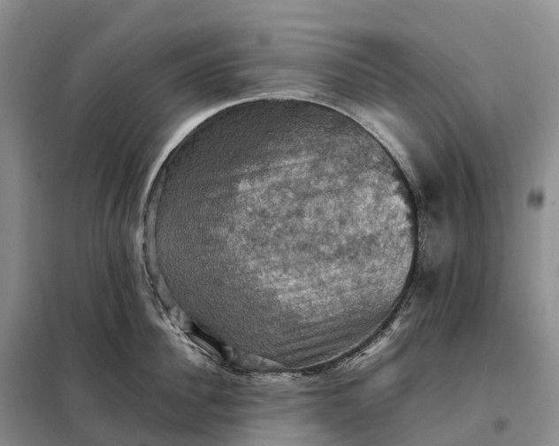X0000098000956200804071215