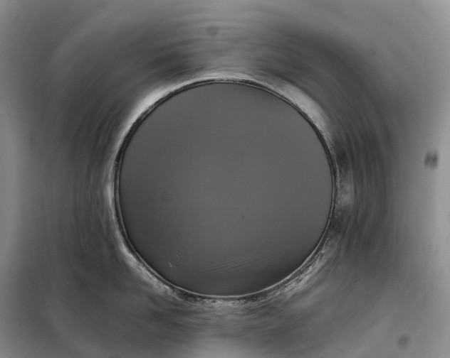 X0000098000958200804071215