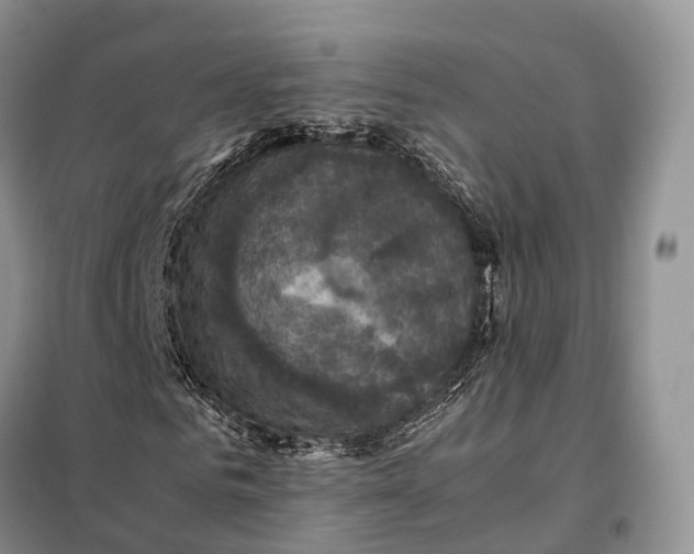 X0000098000961200804071214