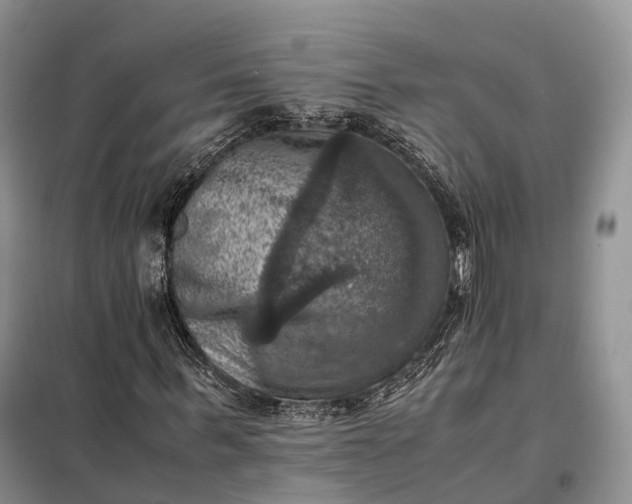 X0000098000963200804071214