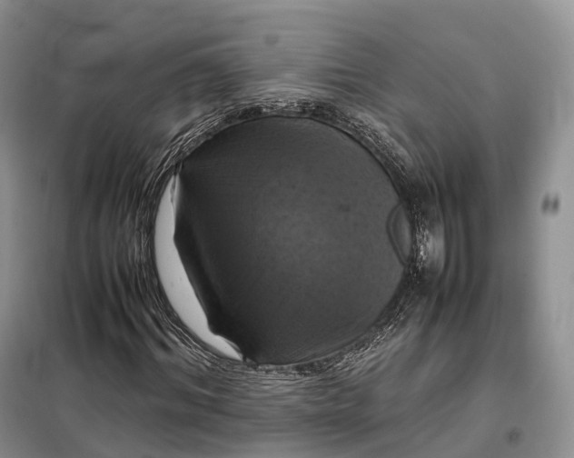 X0000098000964200804071214