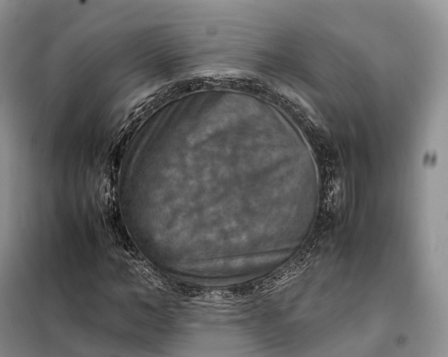 X0000098000966200804071214