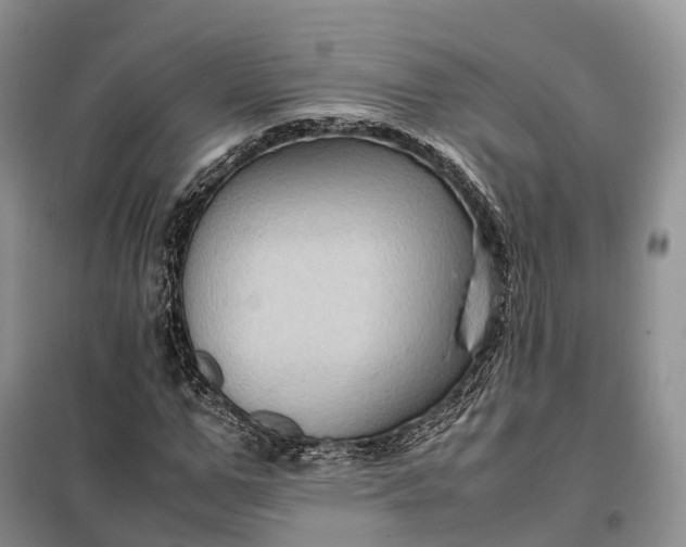 X0000098000967200804071214