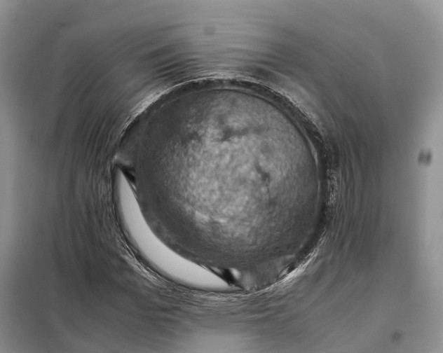 X0000098000969200804071214