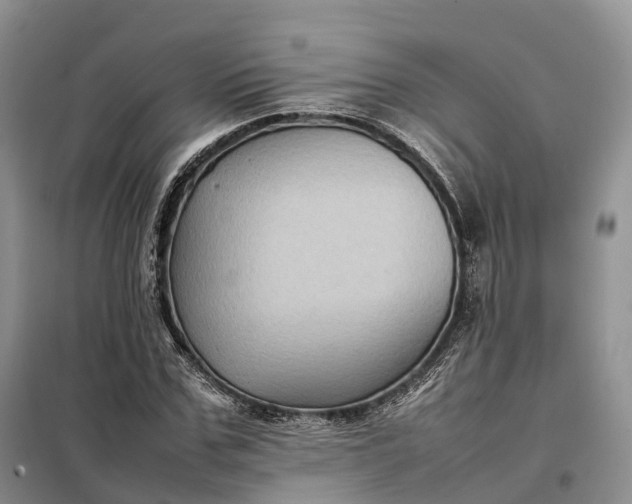 X0000098000971200804071214