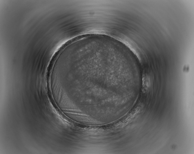 X0000098000972200804071214