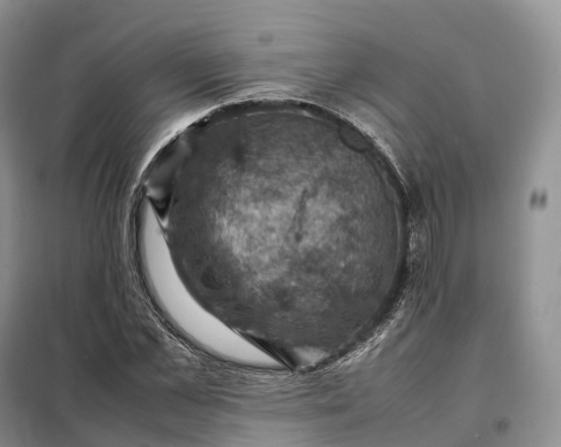 X0000098000973200804071214