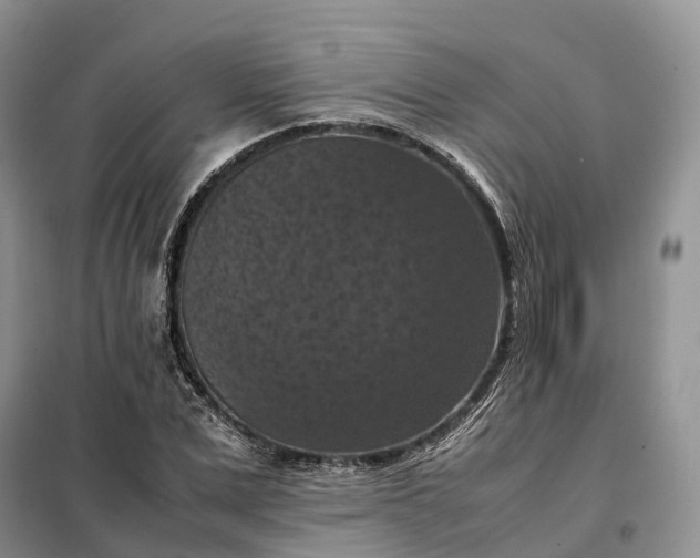 X0000098000975200804071214