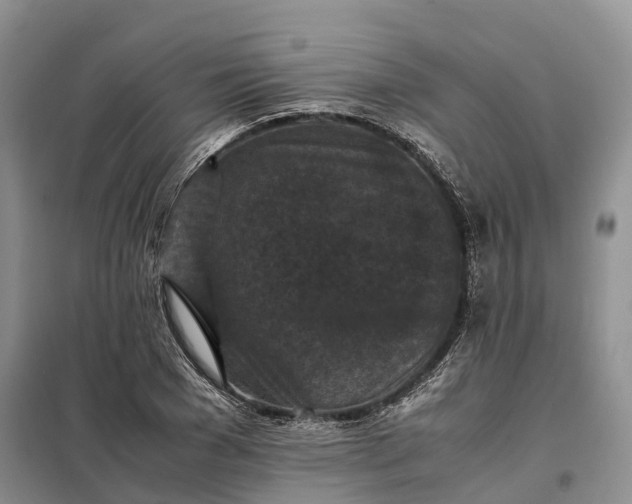 X0000098000977200804071214