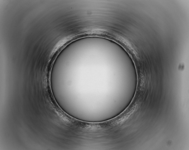 X0000098000978200804071214