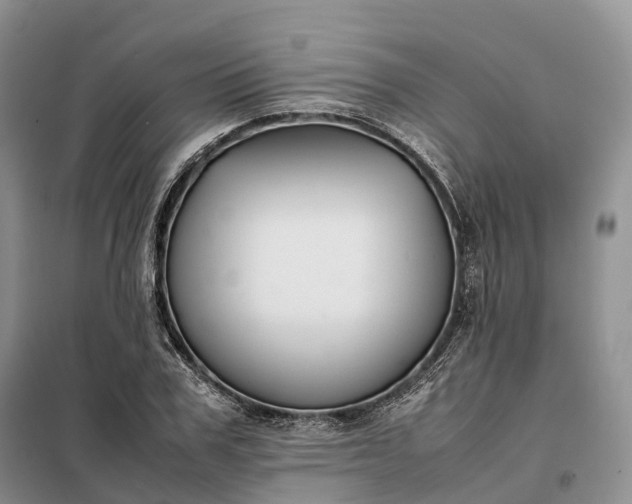 X0000098000979200804071214