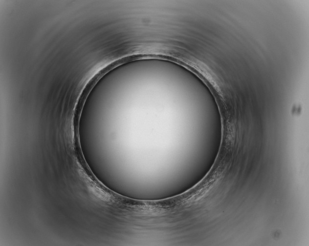 X0000098000980200804071214