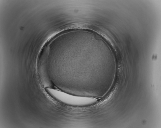 X0000098000981200804071213