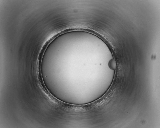 X0000098000982200804071213