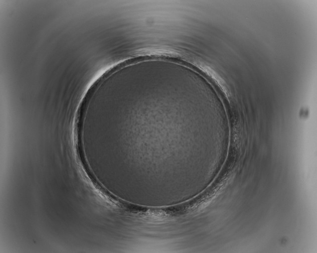 X0000098000983200804071213
