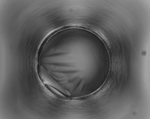 X0000098000984200804071213