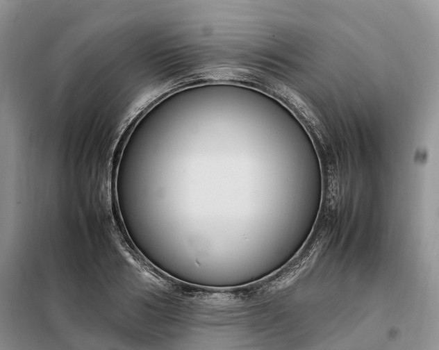 X0000098000986200804071213