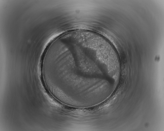 X0000098000987200804071213