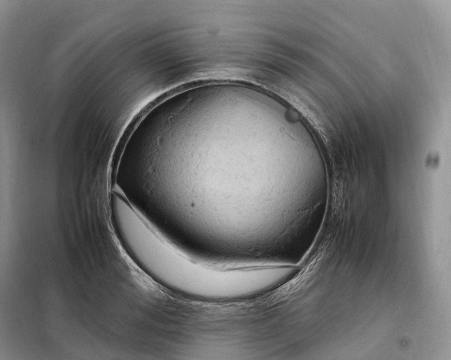 X0000098000988200804071213
