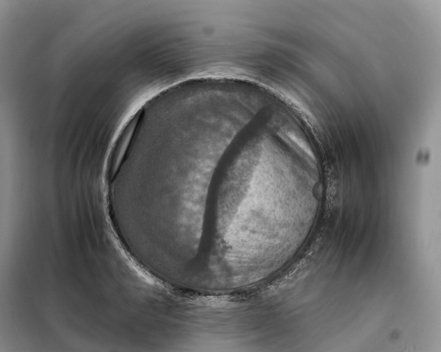 X0000098000990200804071213