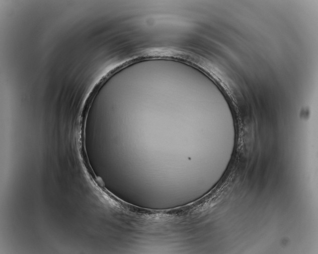 X0000098000992200804071213