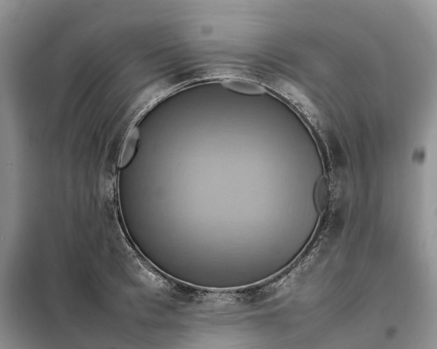 X0000098000993200804071213