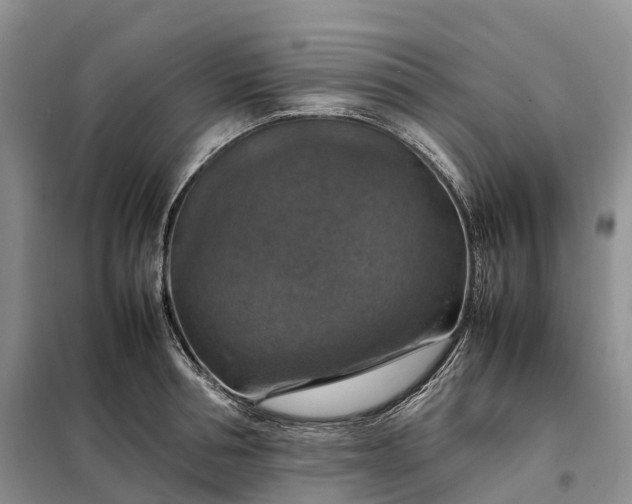 X0000098000994200804071213