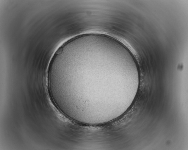 X0000098000996200804071213