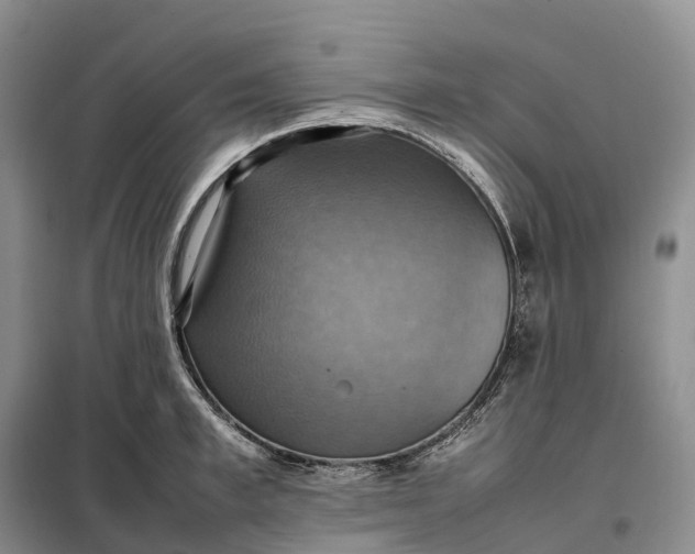 X0000098000997200804071213