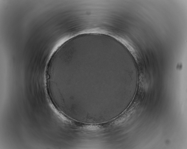 X0000098000998200804071213