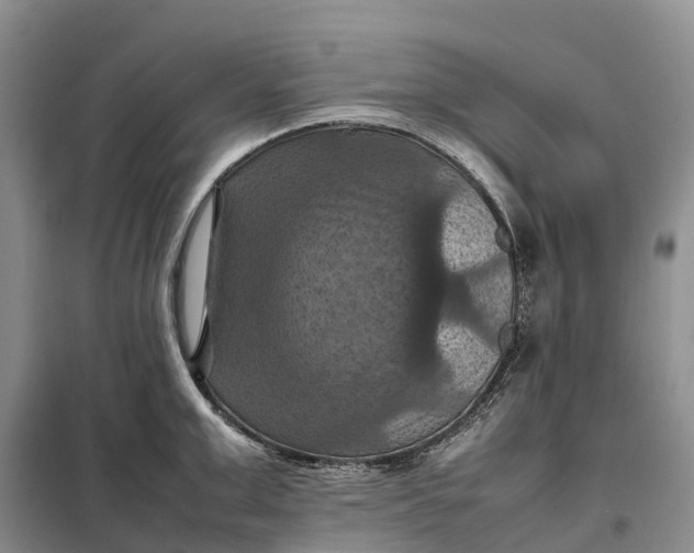 X0000098000999200804071213