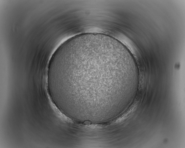 X0000098001000200804071213