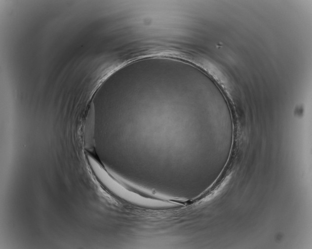 X0000098001001200804071213